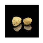 FINE SILK SPONGE