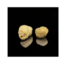 FINE SILK SPONGE