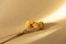 FINE SILK SPONGE